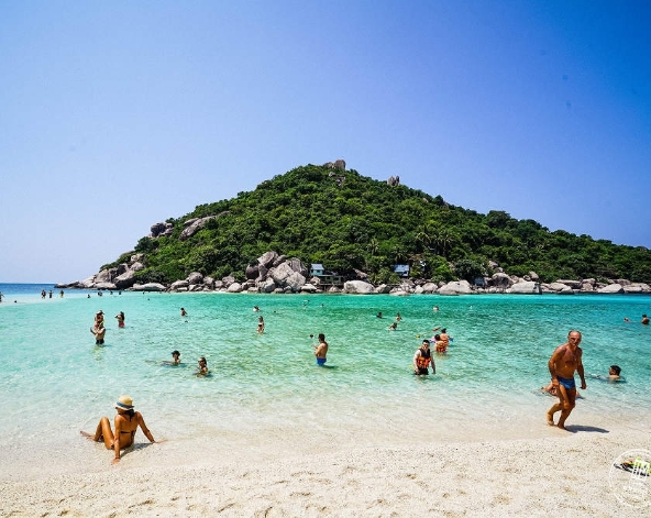 龜島+海甌島-浮潛、浮潛用具、午餐+飲料→蘇美海鮮風味餐