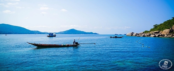 龜島+珊月灣浮潛(快艇+浮潛用具+活動簡餐+上島費)→國際酒店泰式料理 (啤酒、紅酒、或飲料任選一杯)