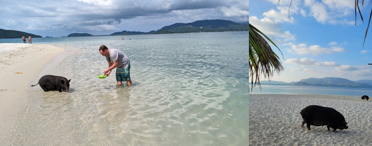  Koh Madsum (小豬島)浮潛、跳島遊 →自由前往CENTERL FESITVE中央百貨逛街 與 晚餐，還有別錯過了查文街上的酒吧